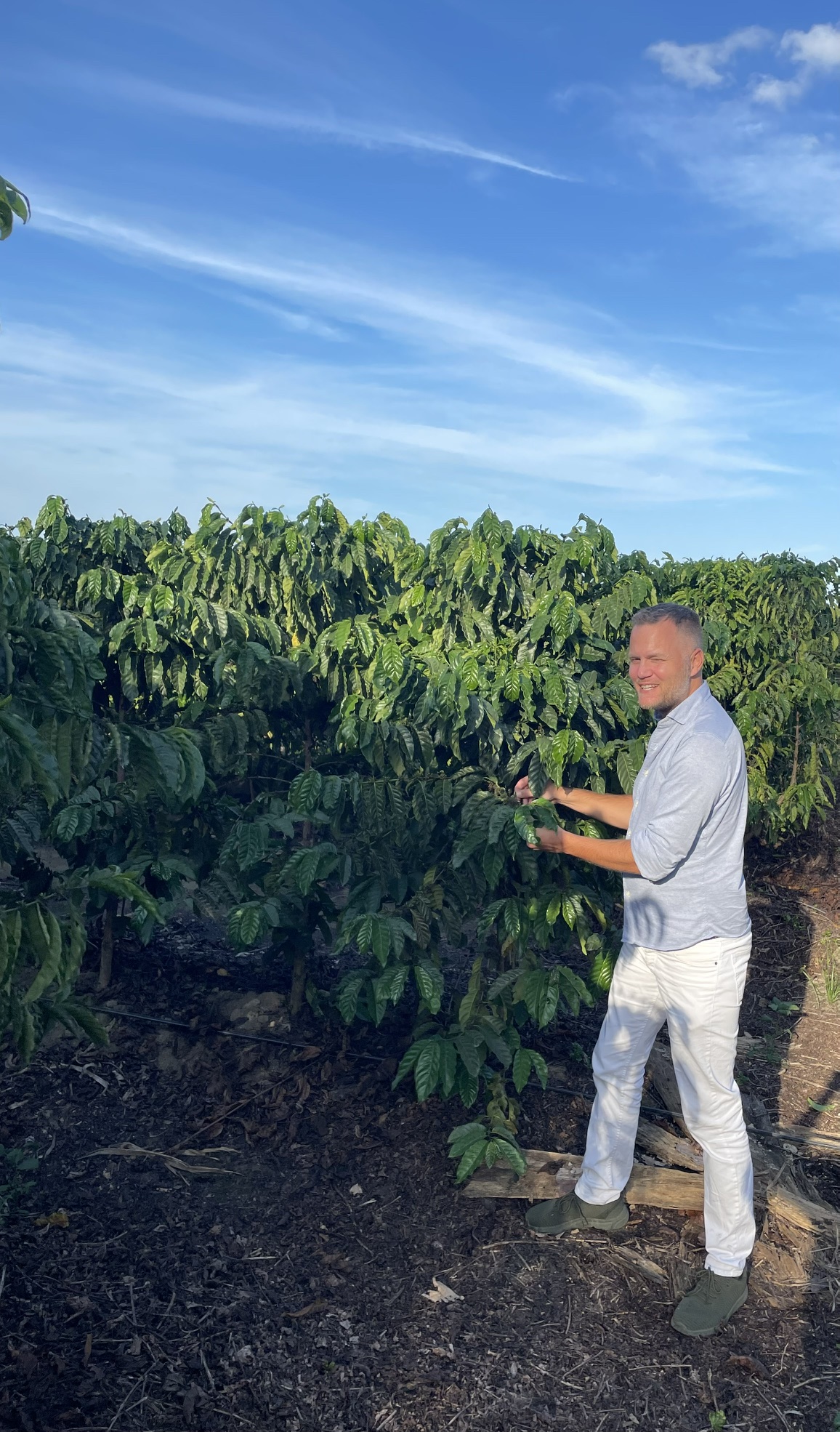 Tobias Schlitzke on a coffee plantation in Brazil